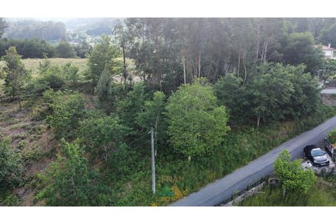 Helårsgrund i Arcos de Valdevez, Viana do Castelo, Arcos de Valdevez - € 25.000 | Ref: AVV-021-034 - foto 12