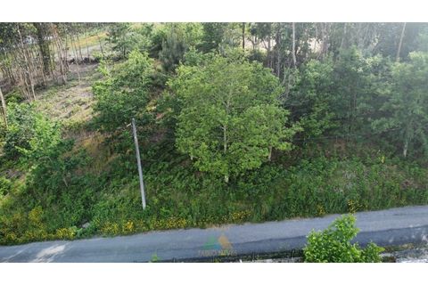 Helårsgrund i Arcos de Valdevez, Viana do Castelo, Arcos de Valdevez - € 25.000 | Ref: AVV-021-034 - foto 14