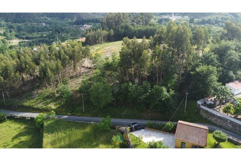 Helårsgrund i Arcos de Valdevez, Viana do Castelo, Arcos de Valdevez - € 25.000 | Ref: AVV-021-034 - foto 17
