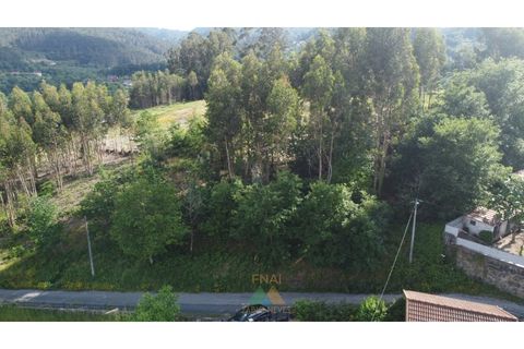 Helårsgrund i Arcos de Valdevez, Viana do Castelo, Arcos de Valdevez - € 25.000 | Ref: AVV-021-034 - foto 18