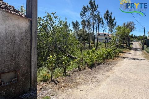 Helårsgrund i Castelo Branco, Castelo Branco, Castelo Branco - € 20.000 | Ref: MG171 - foto 1
