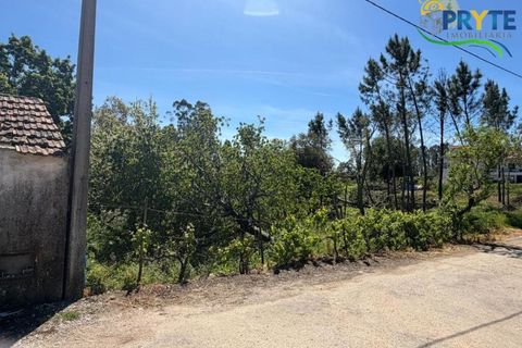 Helårsgrund i Castelo Branco, Castelo Branco, Castelo Branco - € 20.000 | Ref: MG171 - foto 2