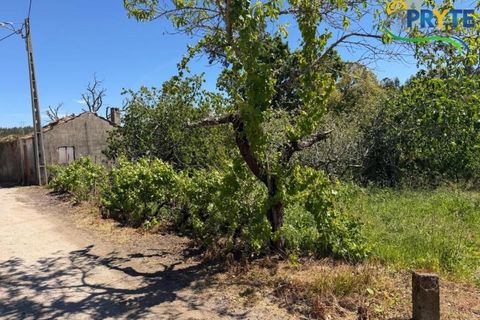 Helårsgrund i Castelo Branco, Castelo Branco, Castelo Branco - € 20.000 | Ref: MG171 - foto 3