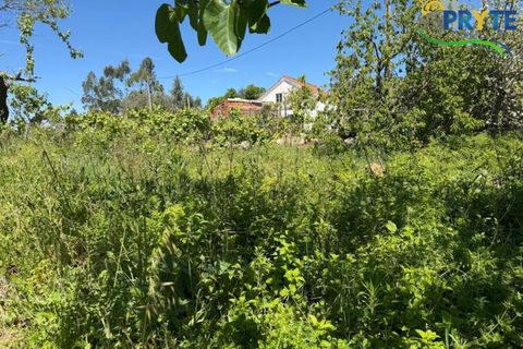 Helårsgrund i Castelo Branco, Castelo Branco, Castelo Branco - € 20.000 | Ref: MG171 - foto 8