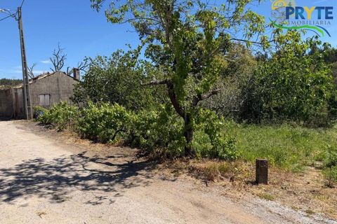 Helårsgrund i Castelo Branco, Castelo Branco, Castelo Branco - € 20.000 | Ref: MG171 - foto 10