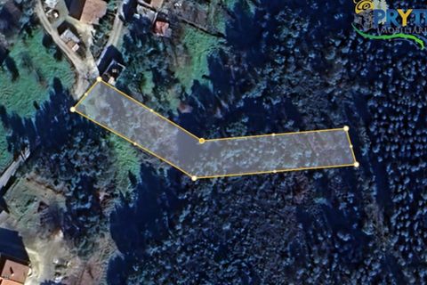 Helårsgrund i Castelo Branco, Castelo Branco, Castelo Branco - € 20.000 | Ref: MG171 - foto 12