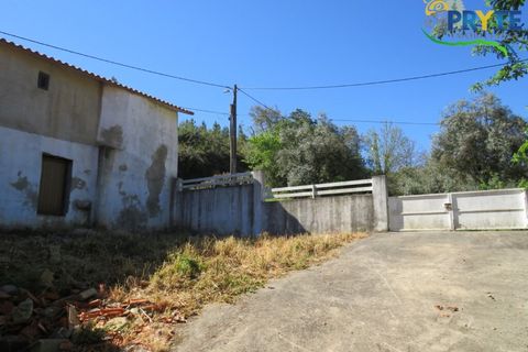 Villa a Proenca-a-Nova, Castelo Branco, Proenca-a-Nova - € 65.000 | Ref: SO23 - foto 28