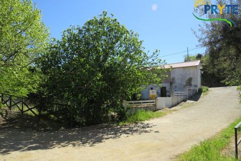 Villa a Proenca-a-Nova, Castelo Branco, Proenca-a-Nova - € 65.000 | Ref: SO23 - foto 29