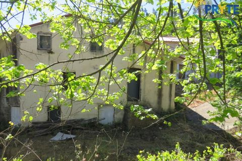 Villa a Proenca-a-Nova, Castelo Branco, Proenca-a-Nova - € 65.000 | Ref: SO23 - foto 32