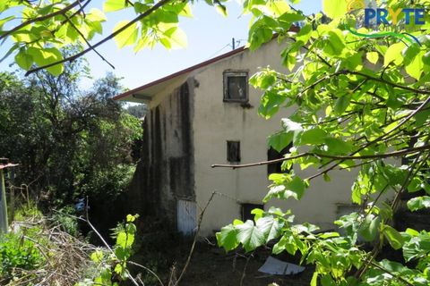 Villa a Proenca-a-Nova, Castelo Branco, Proenca-a-Nova - € 65.000 | Ref: SO23 - foto 33