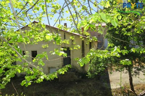 Villa a Proenca-a-Nova, Castelo Branco, Proenca-a-Nova - € 65.000 | Ref: SO23 - foto 34