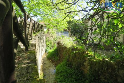 Villa a Proenca-a-Nova, Castelo Branco, Proenca-a-Nova - € 65.000 | Ref: SO23 - foto 35