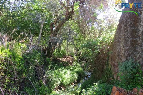 Villa a Proenca-a-Nova, Castelo Branco, Proenca-a-Nova - € 65.000 | Ref: SO23 - foto 38