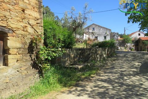 Villa a Proenca-a-Nova, Castelo Branco, Proenca-a-Nova - € 65.000 | Ref: SO23 - foto 40