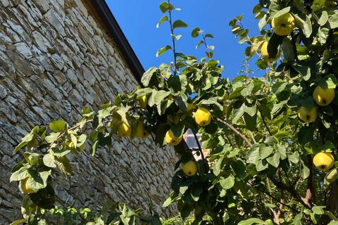 Villa i Farini, Piacenza, Farini - € 520.000 | Ref: RH2507012-1058151 - foto 7