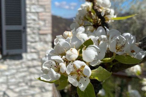 Villa i Farini, Piacenza, Farini - € 520.000 | Ref: RH2507012-1058151 - foto 8