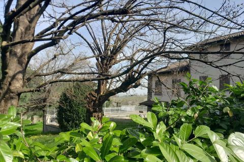 Villa i Volpara, Pavia, Volpara - € 340.000 | Ref: RH 2504006-1058332 - foto 4