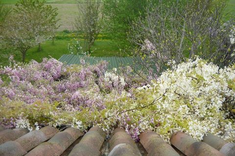 Villa a Soragna, Parma, Soragna - € 395.000 | Ref: RH24001-1058564 - foto 3