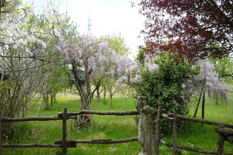 Villa a Soragna, Parma, Soragna - € 395.000 | Ref: RH24001-1058564 - foto 4