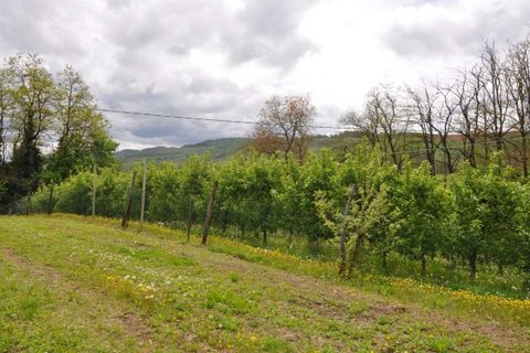 Villa a Momperone, Alessandria, Momperone - € 185.000 | Ref: 2106018-1058838 - foto 18