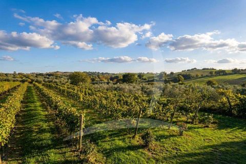 Farm hus i Grosseto, Grosseto, Grosseto - € 1.350.000 | Ref: A1190TA3033-1068358 - foto 10