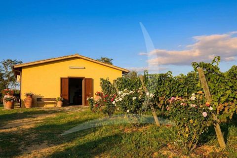 Farm hus i Grosseto, Grosseto, Grosseto - € 1.350.000 | Ref: A1190TA3033-1068358 - foto 11