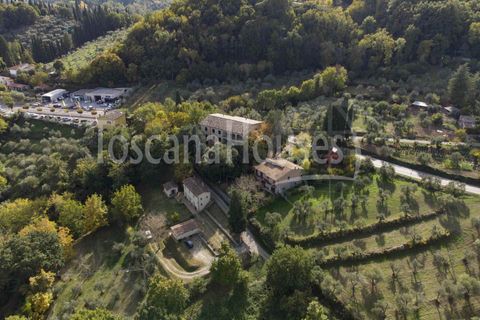 Villa i Cetona, Siena, Cetona - € 3.000.000 | Ref: A1190CH29704-1068461 - foto 13