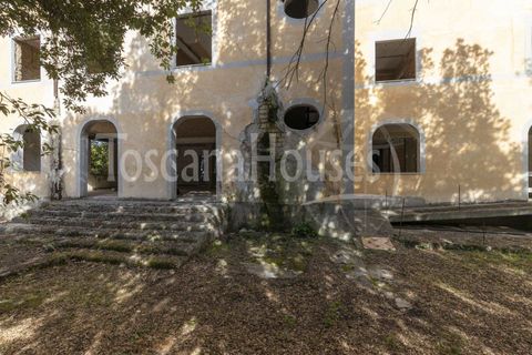 Villa i Cetona, Siena, Cetona - € 3.000.000 | Ref: A1190CH29704-1068461 - foto 18