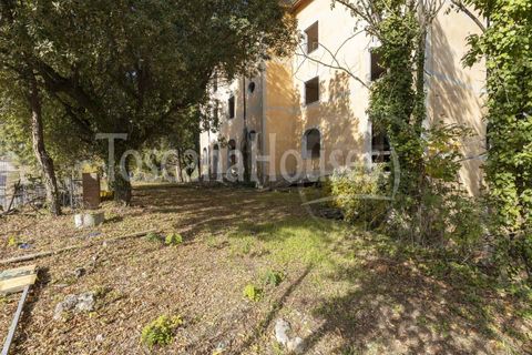 Villa i Cetona, Siena, Cetona - € 3.000.000 | Ref: A1190CH29704-1068461 - foto 19