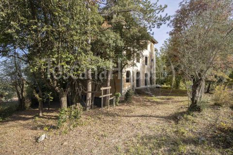 Villa i Cetona, Siena, Cetona - € 3.000.000 | Ref: A1190CH29704-1068461 - foto 20