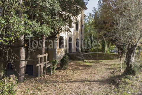 Villa i Cetona, Siena, Cetona - € 3.000.000 | Ref: A1190CH29704-1068461 - foto 26