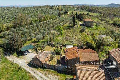 Villa a Trequanda, Siena, Trequanda - € 730.000 | Ref: TRQ3530-1068981 - foto 34