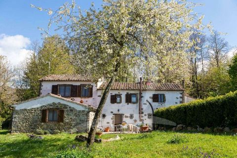 Farm hus i Arcidosso, Grosseto, Arcidosso - € 930.000 | Ref: A1190RC71122-1069269 - foto 6