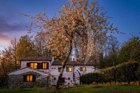 Farm hus i Arcidosso, Grosseto, Arcidosso - € 930.000 | Ref: A1190RC71122-1069269 - foto 13