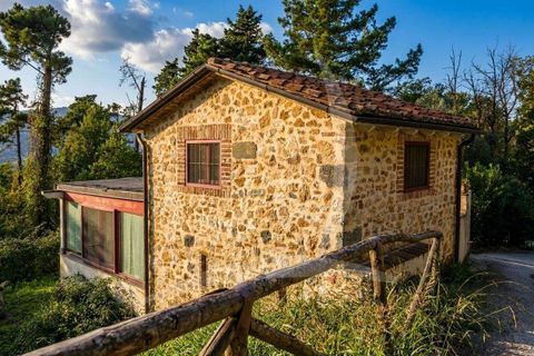Villa i Camaiore, Lucca, Camaiore - € 1.500.000 | Ref: A1190CH24222-1069581 - foto 12