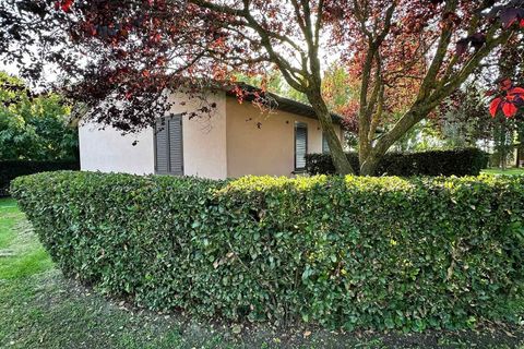 Farm hus i Grosseto, Grosseto, Grosseto - € 3.400.000 | Ref: A7631TA2393935A-1069612 - foto 29