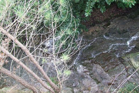 Villa i Rufina, Florence, Rufina - € 680.000 | Ref: A6273RV1358535A-1069674 - foto 25