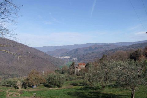 Villa i Rufina, Florence, Rufina - € 680.000 | Ref: A6273RV1358535A-1069674 - foto 28