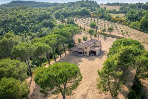 Farm hus i Bibbona, Livorno, Bibbona - € 1.150.000 | Ref: A3165TA2487573A-1070167 - foto 7