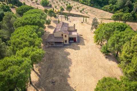 Farm hus i Bibbona, Livorno, Bibbona - € 1.150.000 | Ref: A3165TA2487573A-1070167 - foto 8