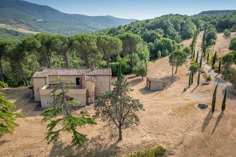 Farm hus i Bibbona, Livorno, Bibbona - € 1.150.000 | Ref: A3165TA2487573A-1070167 - foto 10