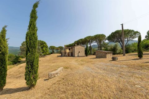 Farm hus i Bibbona, Livorno, Bibbona - € 1.150.000 | Ref: A3165TA2487573A-1070167 - foto 12