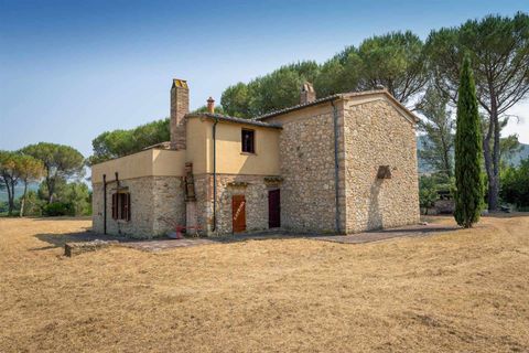 Farm hus i Bibbona, Livorno, Bibbona - € 1.150.000 | Ref: A3165TA2487573A-1070167 - foto 13