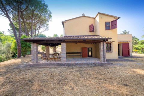 Farm hus i Bibbona, Livorno, Bibbona - € 1.150.000 | Ref: A3165TA2487573A-1070167 - foto 14