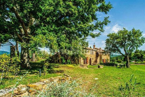 Villa a Monterotondo Marittimo, Grosseto, Monterotondo Marittimo - € 997.000 | Ref: A7631CH2245958A-1070282 - foto 5