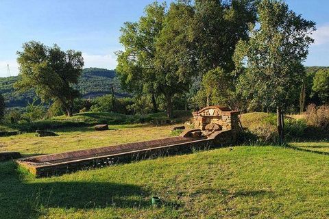 Villa a Monterotondo Marittimo, Grosseto, Monterotondo Marittimo - € 997.000 | Ref: A7631CH2245958A-1070282 - foto 7