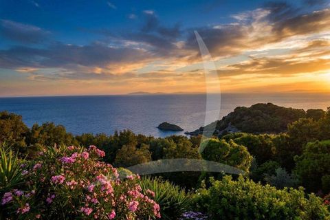 Villa i Monte Argentario, Grosseto, Monte Argentario - € 3.800.000 | Ref: A1190RV54891-1070313 - foto 10