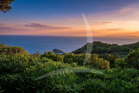 Villa i Monte Argentario, Grosseto, Monte Argentario - € 3.800.000 | Ref: A1190RV54891-1070313 - foto 11