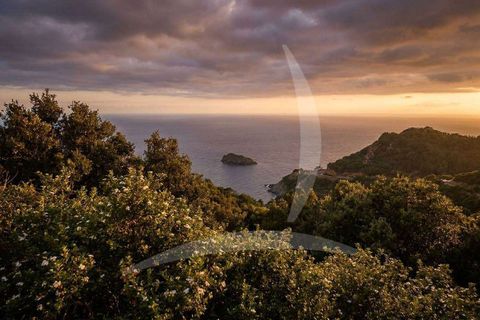 Villa i Monte Argentario, Grosseto, Monte Argentario - € 3.800.000 | Ref: A1190RV54891-1070313 - foto 25