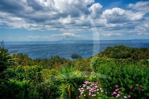 Villa i Monte Argentario, Grosseto, Monte Argentario - € 3.800.000 | Ref: A1190RV54891-1070313 - foto 29